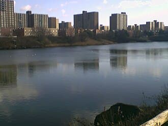 Starrett City — Wikipedia